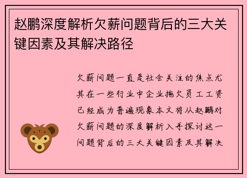 赵鹏深度解析欠薪问题背后的三大关键因素及其解决路径